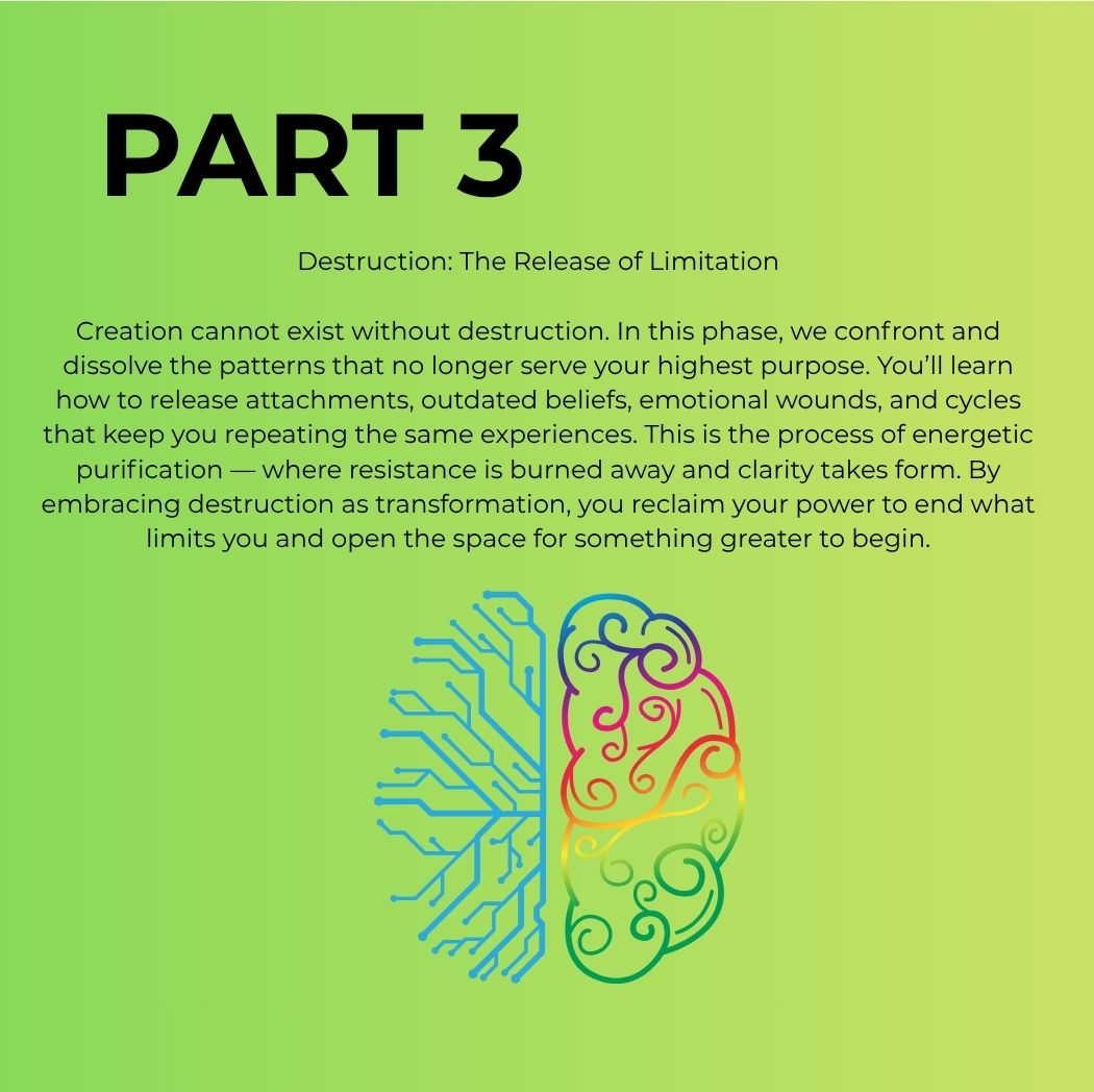 THE DIVINE MENTORSHIP PROGRAM