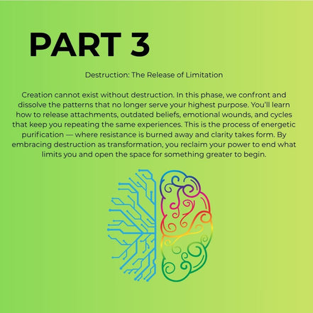 THE DIVINE MENTORSHIP PROGRAM